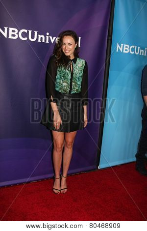 LOS ANGELES - JAN 15:  Jessica McNamee at the NBCUniversal Cable TCA Winter 2015 at a The Langham Huntington Hotel on January 15, 2015 in Pasadena, CA