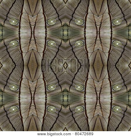 Grey Background Texture Made From Koh-i-noor Butterfly Wing Patterns