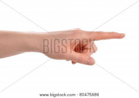 Index Finger Pointing Direction