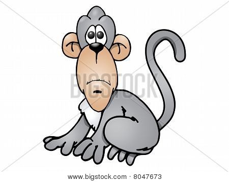 Monkey