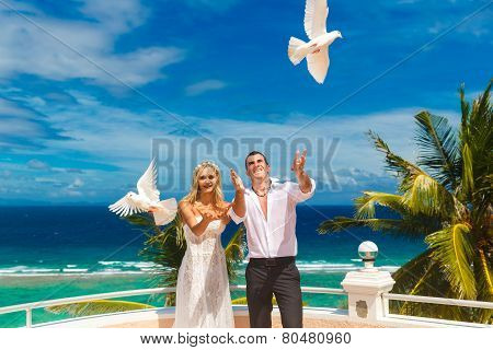 The Happy Bride And Groom With White Doves On A Tropical Beach Under Palm Trees.