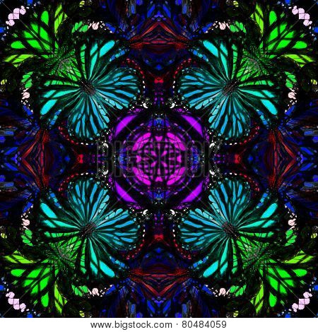 Seamless Of Multicolorl Background Pattern Made Of Butterflies Wings In Fancy Color