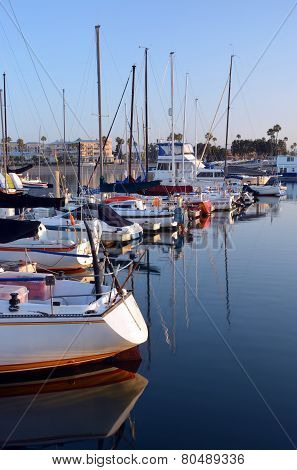 Marina Del Rey Harbour And Yachts At Dawn.