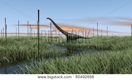 mamenchisaurus in swamp