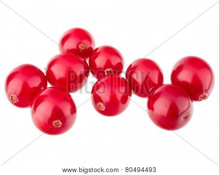 cranberry  isolated on white background cutout
