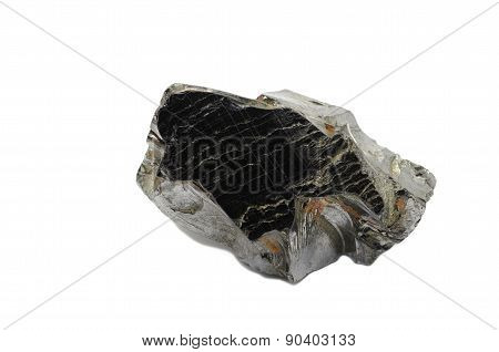 Noble Shungite