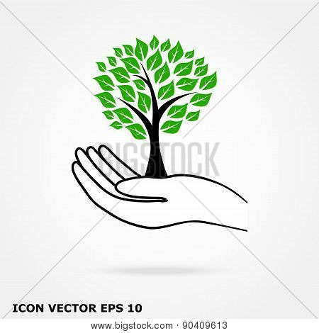Tree In Hand Icon