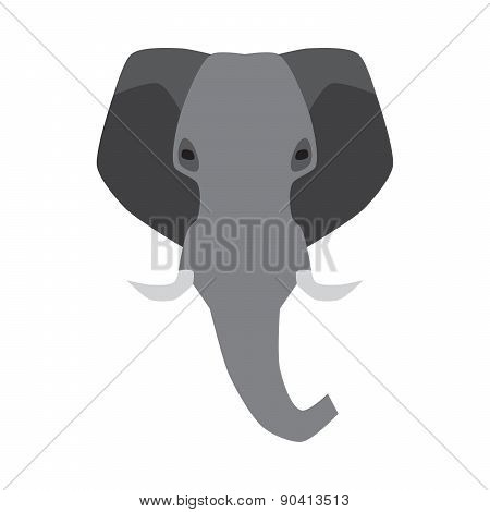 elephant head
