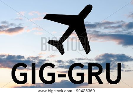 Flight