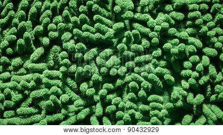 Green Cleaning Feet Doormat Or Carpet Texture