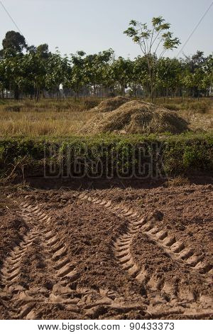 Tracks From Tractor
