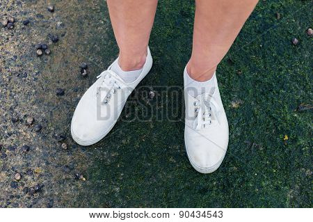 Feet Of A Woman Standing With Whelks