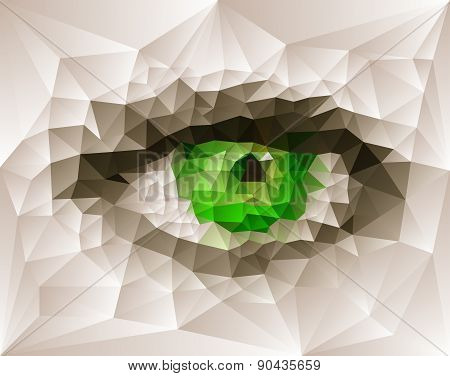 Female eye created from polygons