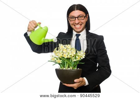 Handsome businessman holding spring flowers isolated on white