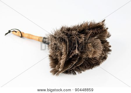 a feather duster against white background, symbol photo for cleanliness and care