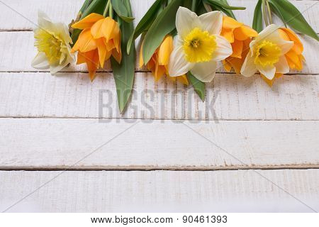 Background With Fresh Tulips And Narcissus