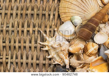 Seashells  Are Lying  In The Right Side Of Old Wicker Baket.