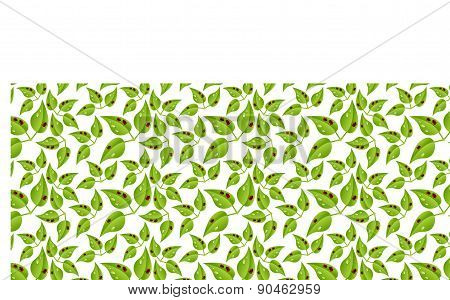 Ladybugs On Leaf Pattern