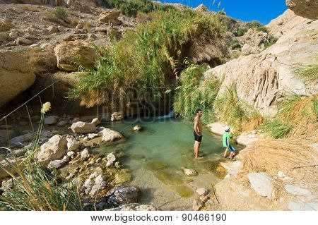 Ein Gedi