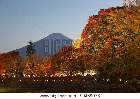 Maple Corridor At Nashigawa River, Japan