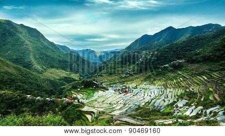 Rice terraces. Banaue, Philippines