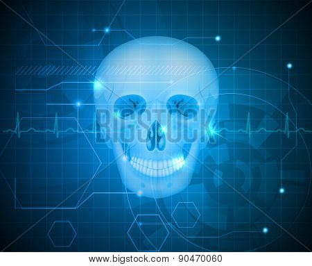 Human Skull Detailed Anatomy