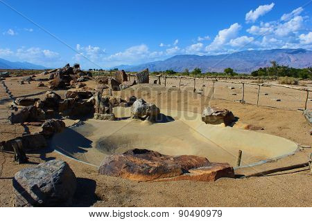 Forgotten Rock Garden