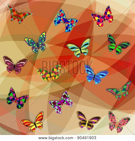 Butterfly11