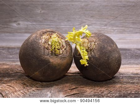 Black radish on wooden background