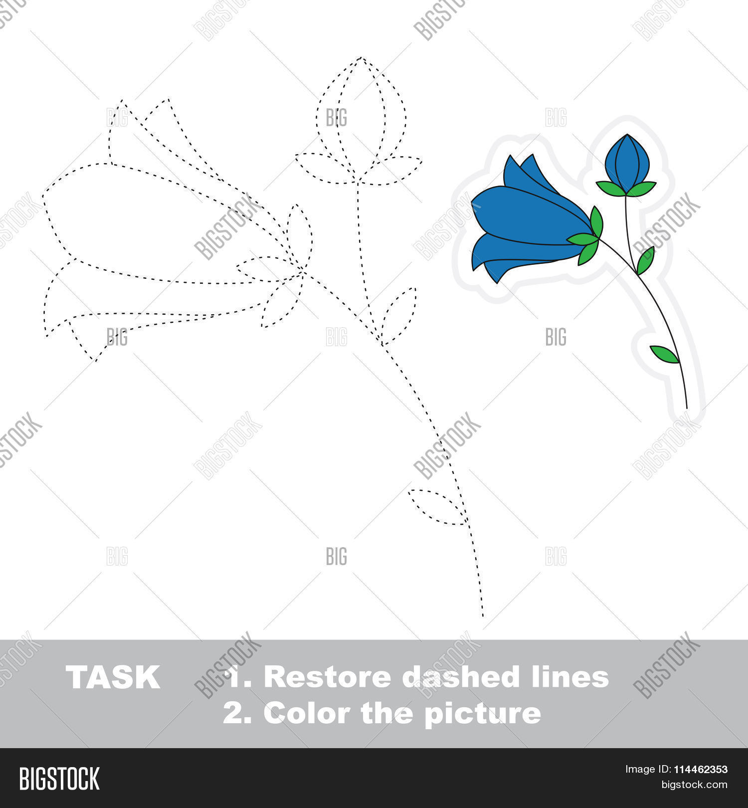 Image Preview