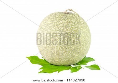 Melon Isolated On White Background