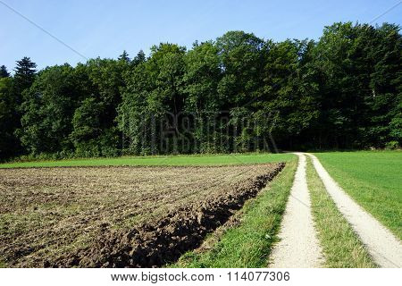 Track And Valley