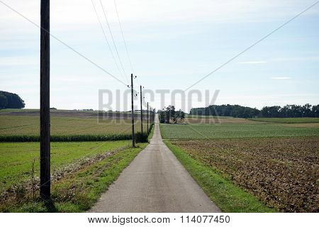 Road And Fields