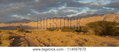 Savannah valley in desert of the Negev, Israel