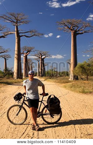 Cyklist og baobabs