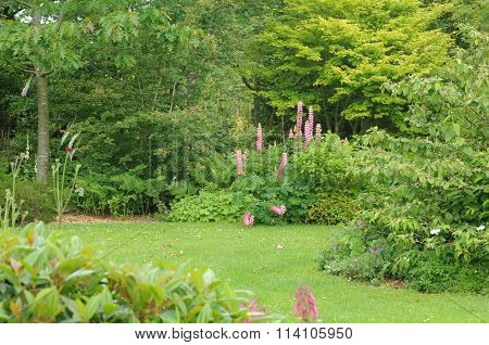 Brittany, Le Jardin Lepage In Pleumeur Bodou