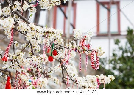 Different Bulgarian Martenitsa signs on the blossoming tree