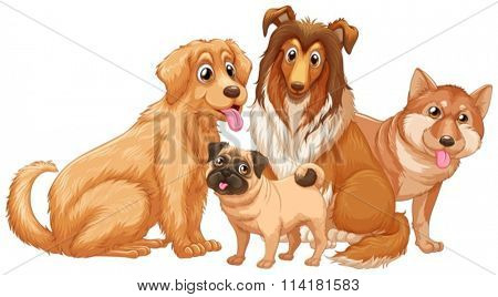 Different type of cute puppy dogs illustration