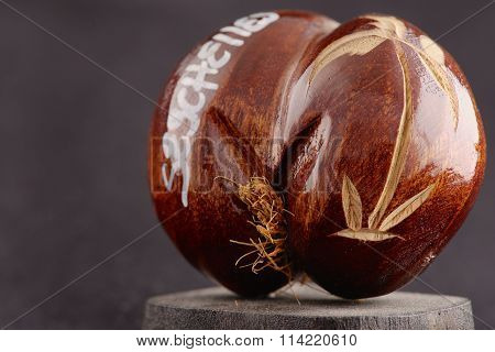 Seychelles sea's coconuts (coco de mer) - original souvenir from Seychelles.