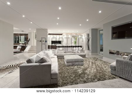 Spacious Living Room With A Big Carpet