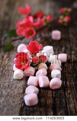 Blossoming Branch And Marshmallow