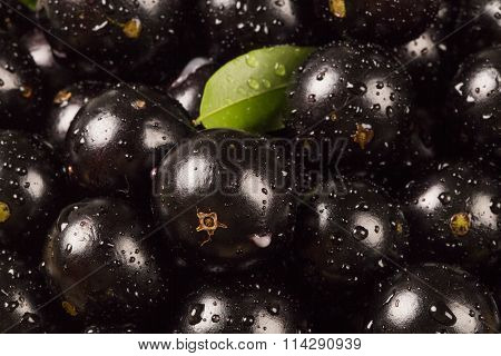 Berry Jaboticaba In Bowl On Wooden Table