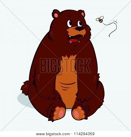 Brown bear