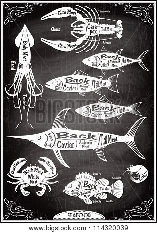 Vector Set Stilysh Diagrams Cut Of Different Seafood Carcasses