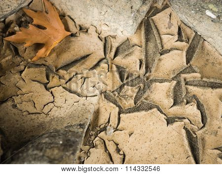 Dry Cracked Earth And Yellow Autumn Leaves