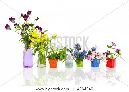 Colorful early summer flowers in small containers