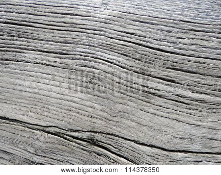 Unusual natural gray wood texture.