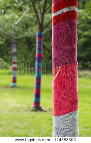 Tree Cozy