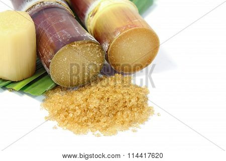 Brown sugar and Sugarcane .