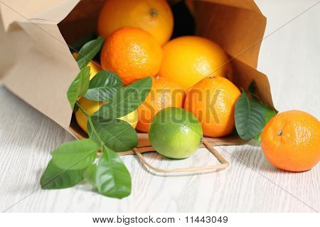 Frische Zitrusfrüchte im Paket